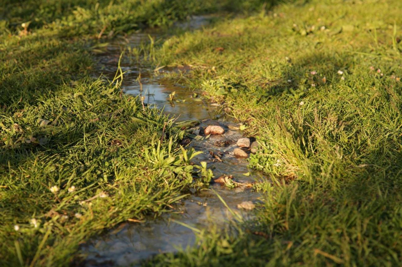 Grosse Wohnung / Haushaelfte In Peetzig Am See อังเงอร์มึนเดอ ภายนอก รูปภาพ