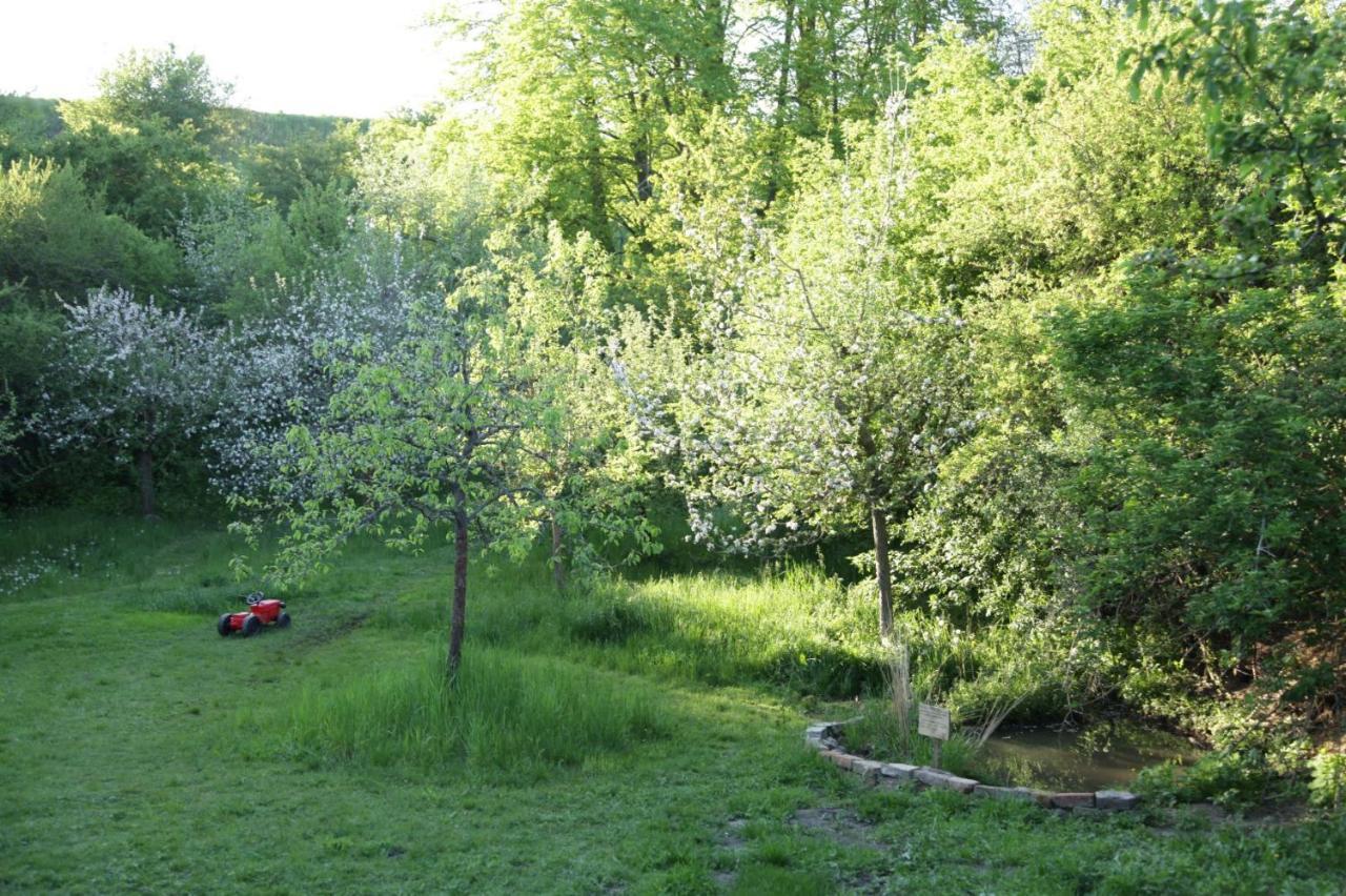 Grosse Wohnung / Haushaelfte In Peetzig Am See อังเงอร์มึนเดอ ภายนอก รูปภาพ