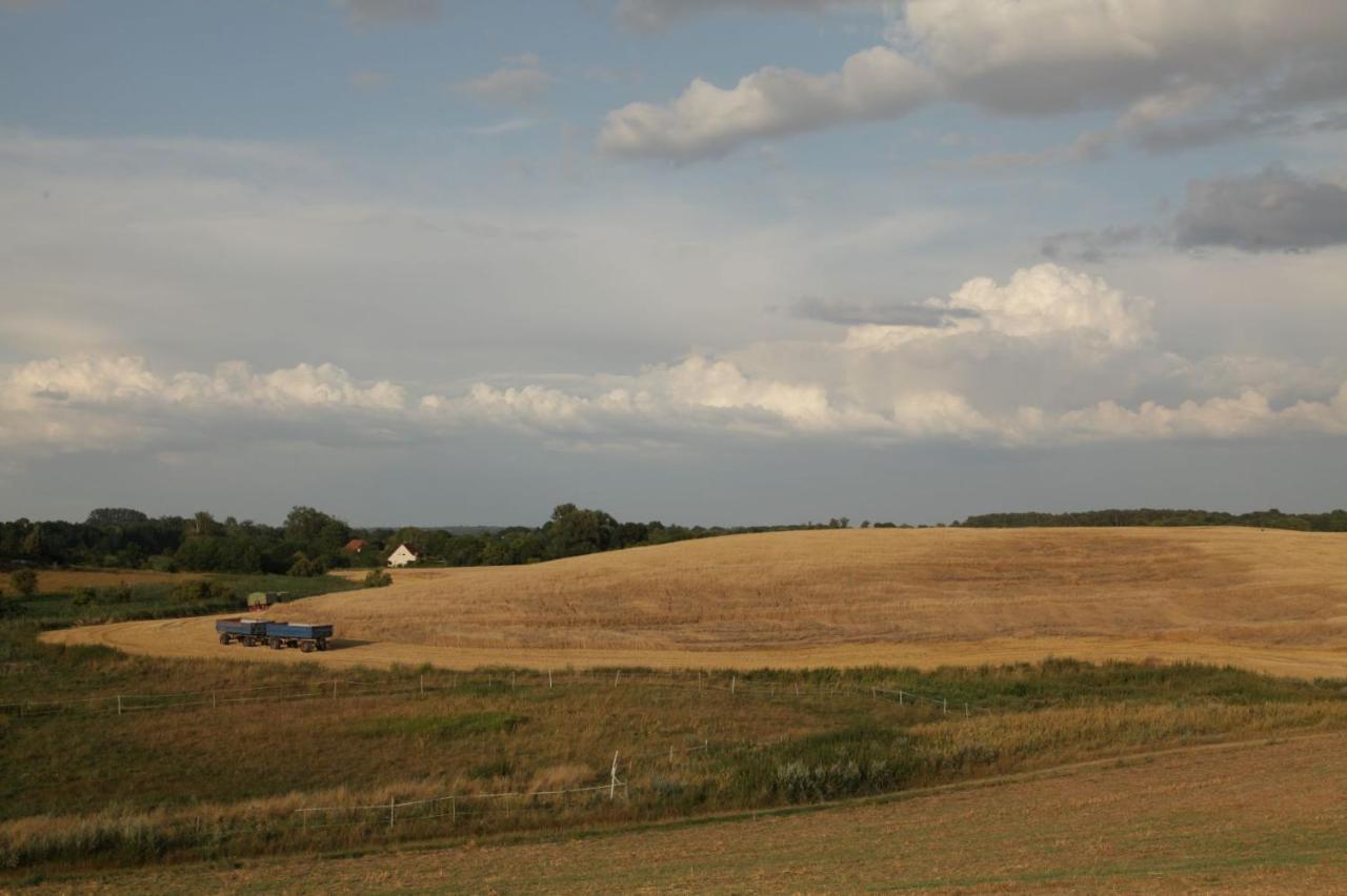 Grosse Wohnung / Haushaelfte In Peetzig Am See อังเงอร์มึนเดอ ภายนอก รูปภาพ