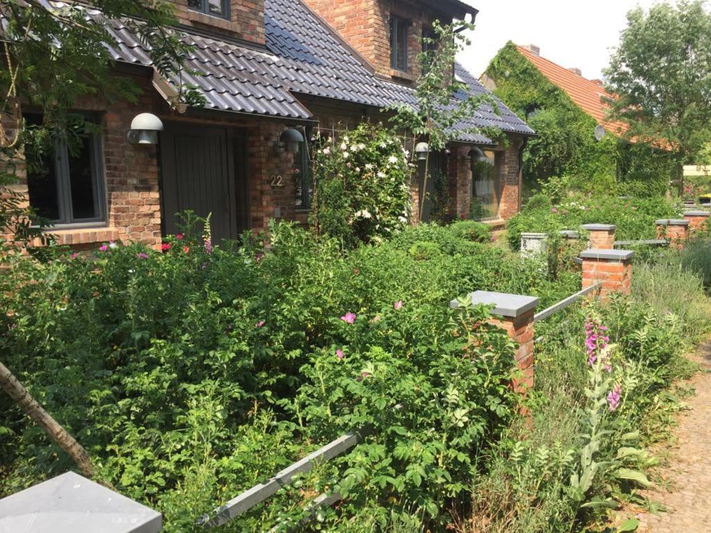 Grosse Wohnung / Haushaelfte In Peetzig Am See อังเงอร์มึนเดอ ภายนอก รูปภาพ